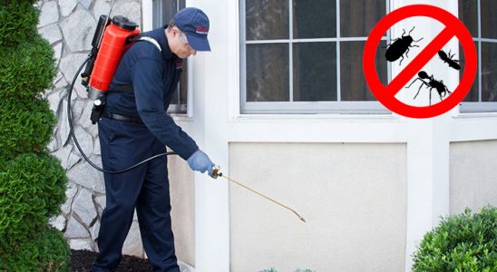 Gölcük Akrep İlaçlama böcek ilaçlama ve haşere kontrolü — ilaclama-tr.com